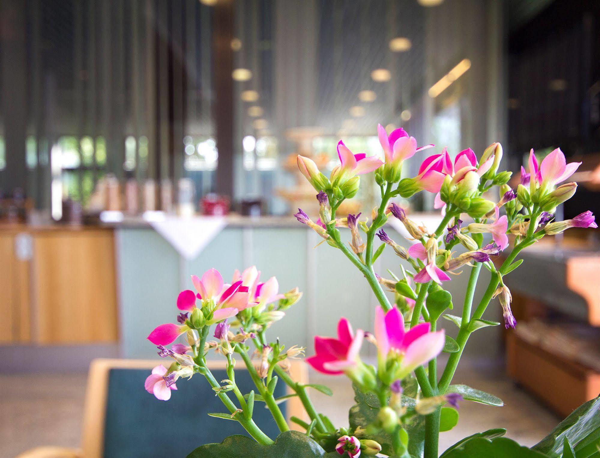 Seligweiler Hotel & Restaurant エルヒンゲン エクステリア 写真